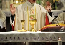 Activities for Exploring the Mass
