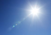 A Woman Clothed in the Sun