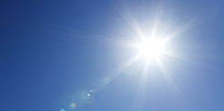 A Woman Clothed in the Sun