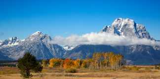Nicholas Black Elk: Catechist for the New Evangelization