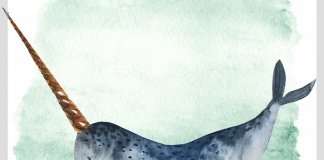 “Can I Pray for Narwhals?” – And other favorite survey responses