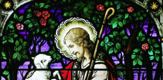 To Seek and Save the Lost: Unpacking the parable of the lost sheep