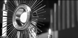 Videos that Celebrate Catholicism