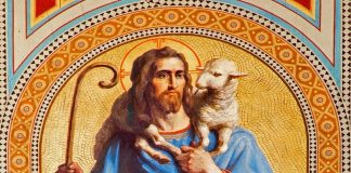 Using the Catechism in the Classroom