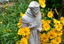 Celebrating Saints: Francis of Assisi—October 4