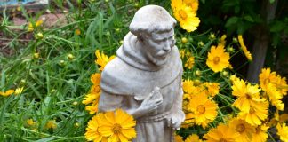 Celebrating Saints: Francis of Assisi—October 4