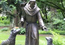 Respect Life Like Saint Francis