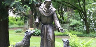 Respect Life Like Saint Francis