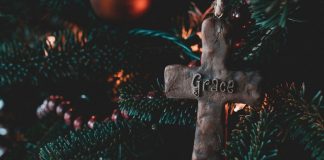 Catholic IQ — ‘Tis the Season