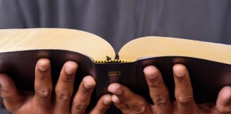 Advice from a Master Catechist: 4 Skills for Scripture Study