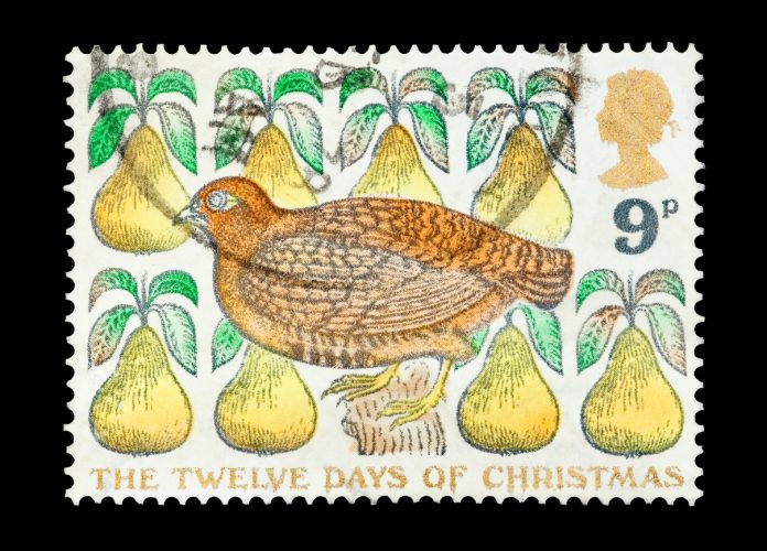 partridge in a pear tree