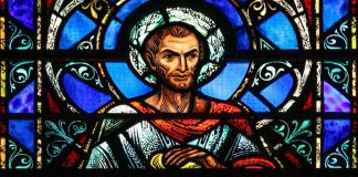 The Catechist with a Green Halo
