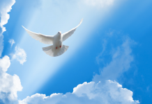 HOLY SPIRIT, CONFIRM IN ME… A Prayer for Confirmation candidates