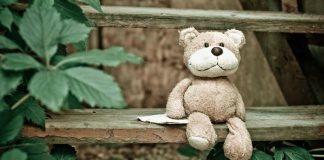 Bears Can Eat Red Apples or Marshmallows