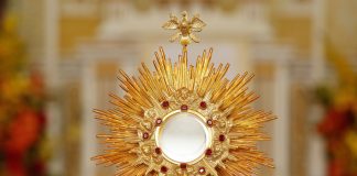 Live-streamed Eucharistic Adoration — Wherever You Are!
