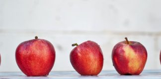 Effective Teaching: Metaphors Make Lessons More Memorable